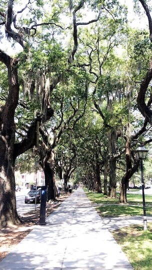 Savannah historic self tour | FlyCheapAlways